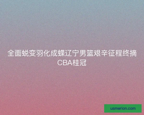 全面蜕变羽化成蝶辽宁男篮艰辛征程终摘CBA桂冠